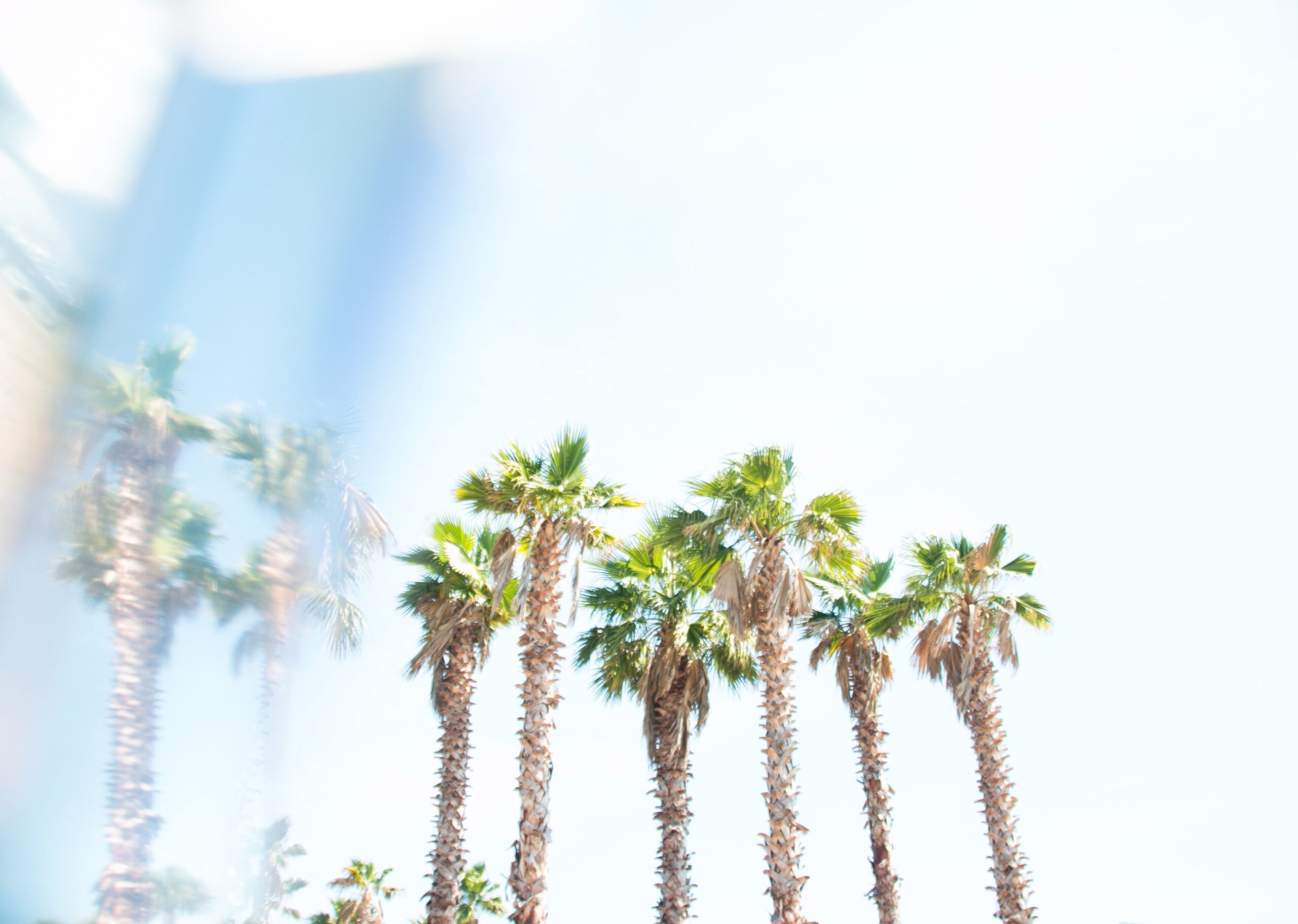 Why You Need A Miami Wedding Planner Who Understands The Assignment